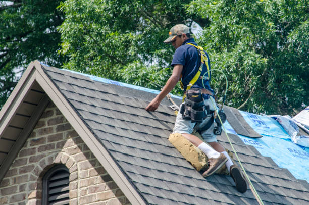 Best Roof Restoration Services  in Choctaw Lake, OH
